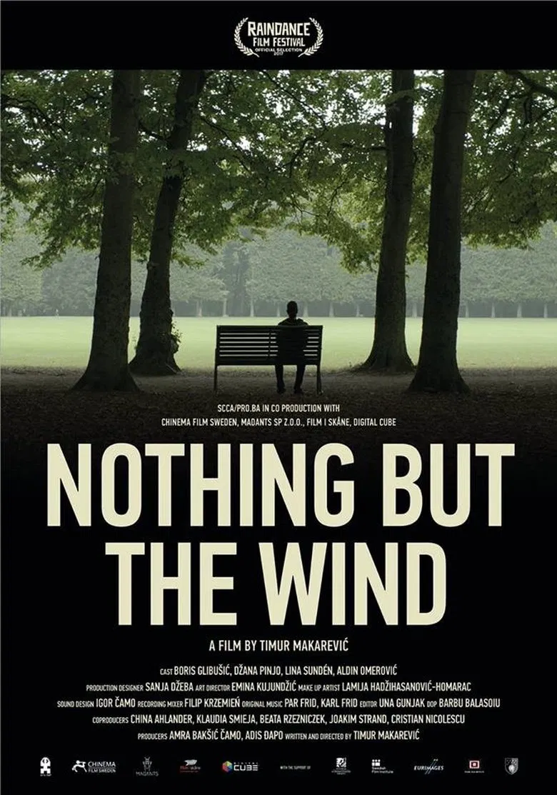 Nothing But the Wind poster background