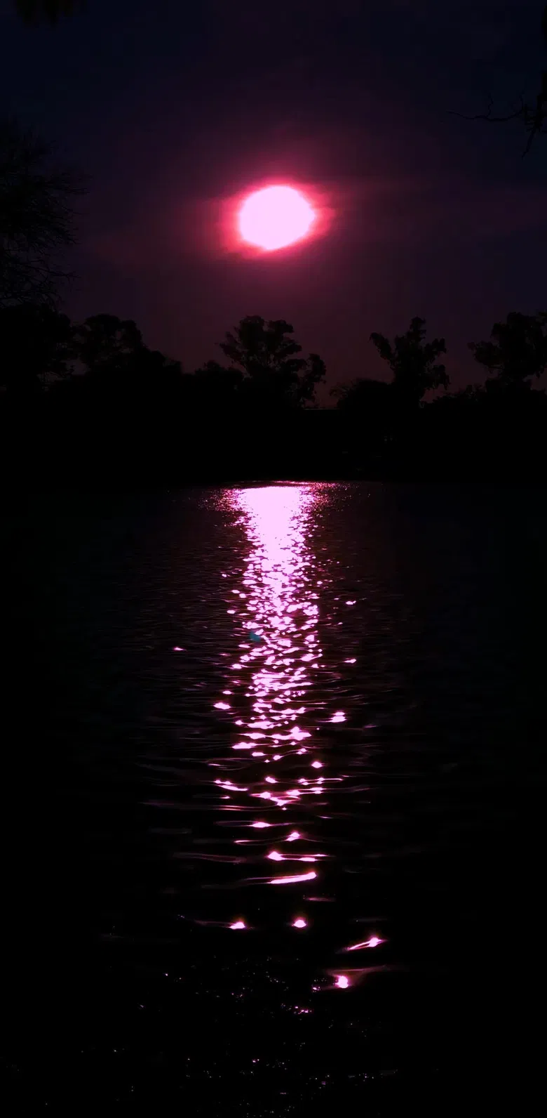 Uma Carta Alienígena poster background