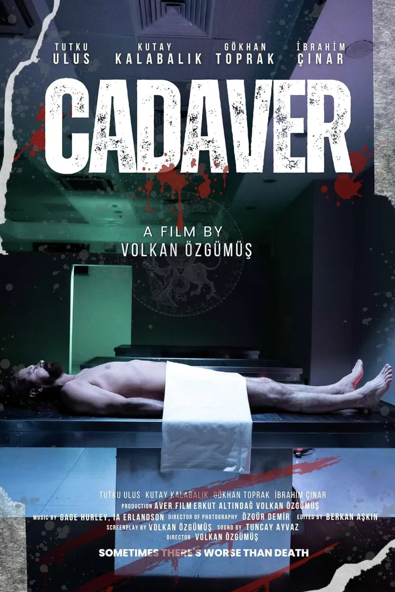 The Cadaver poster background