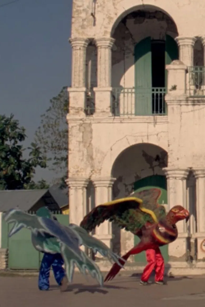 Birds poster background