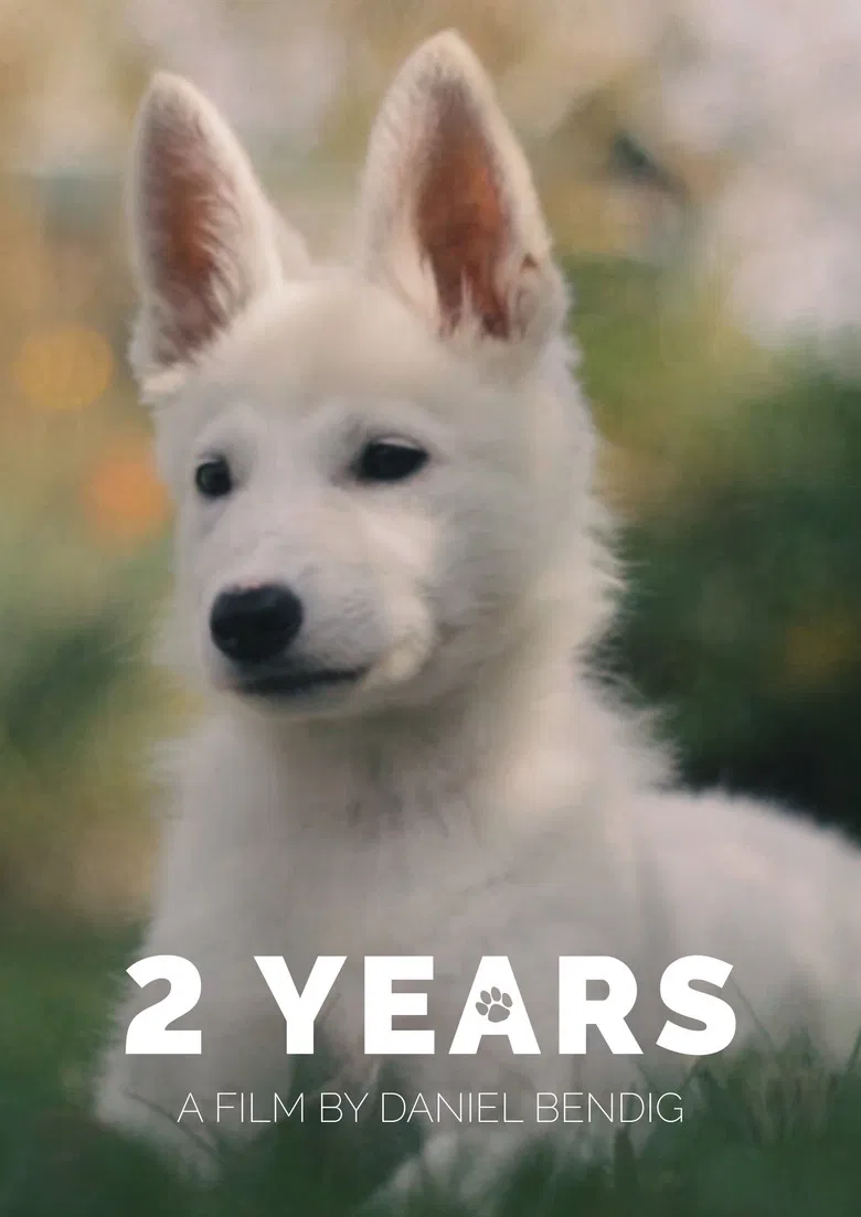 2 Years poster background