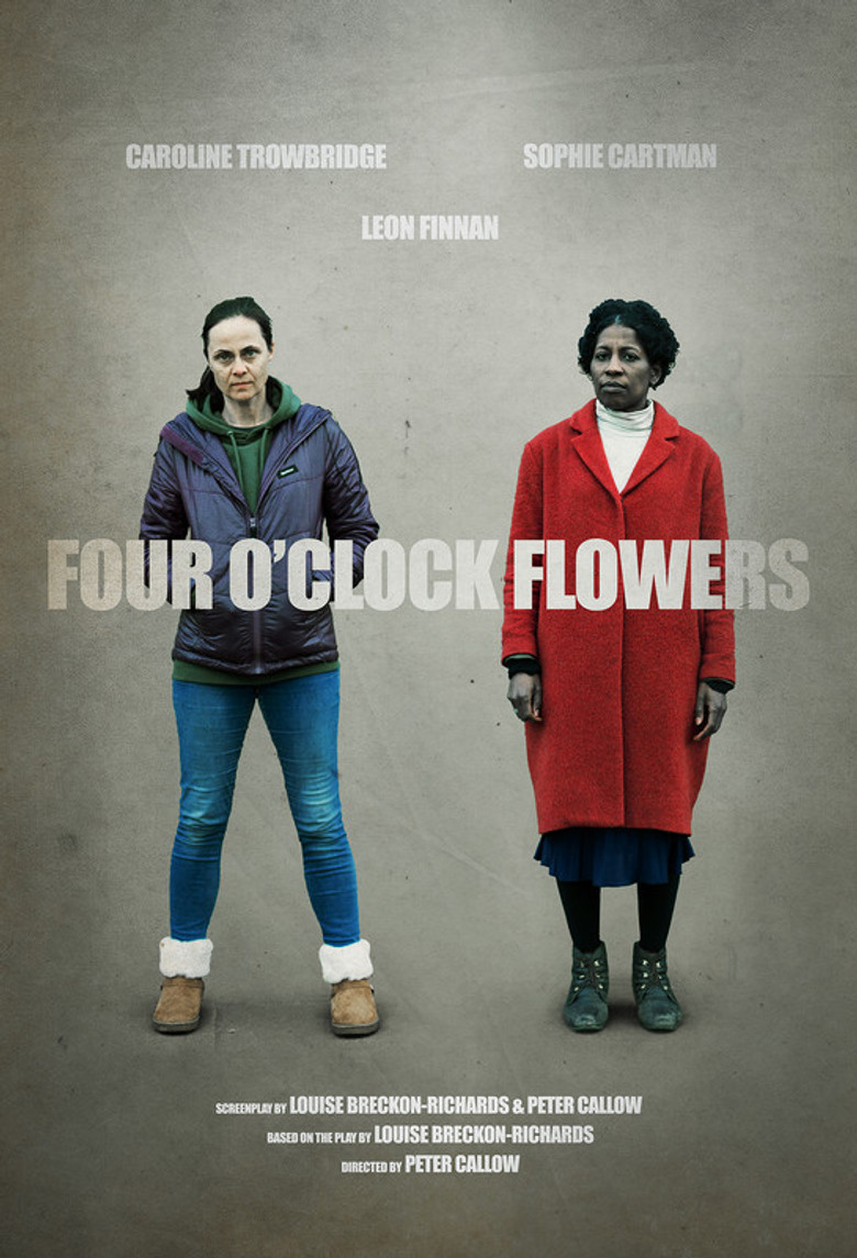 Four O'Clock Flowers poster background