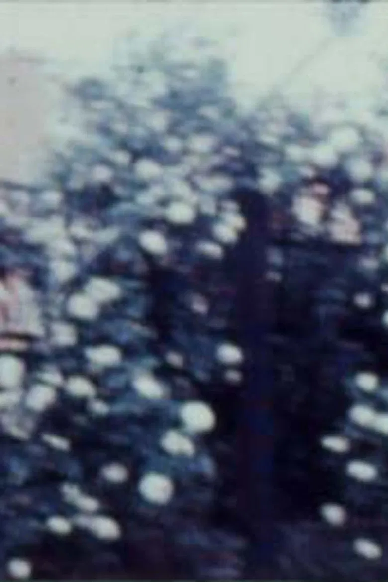 To the Dairy poster background