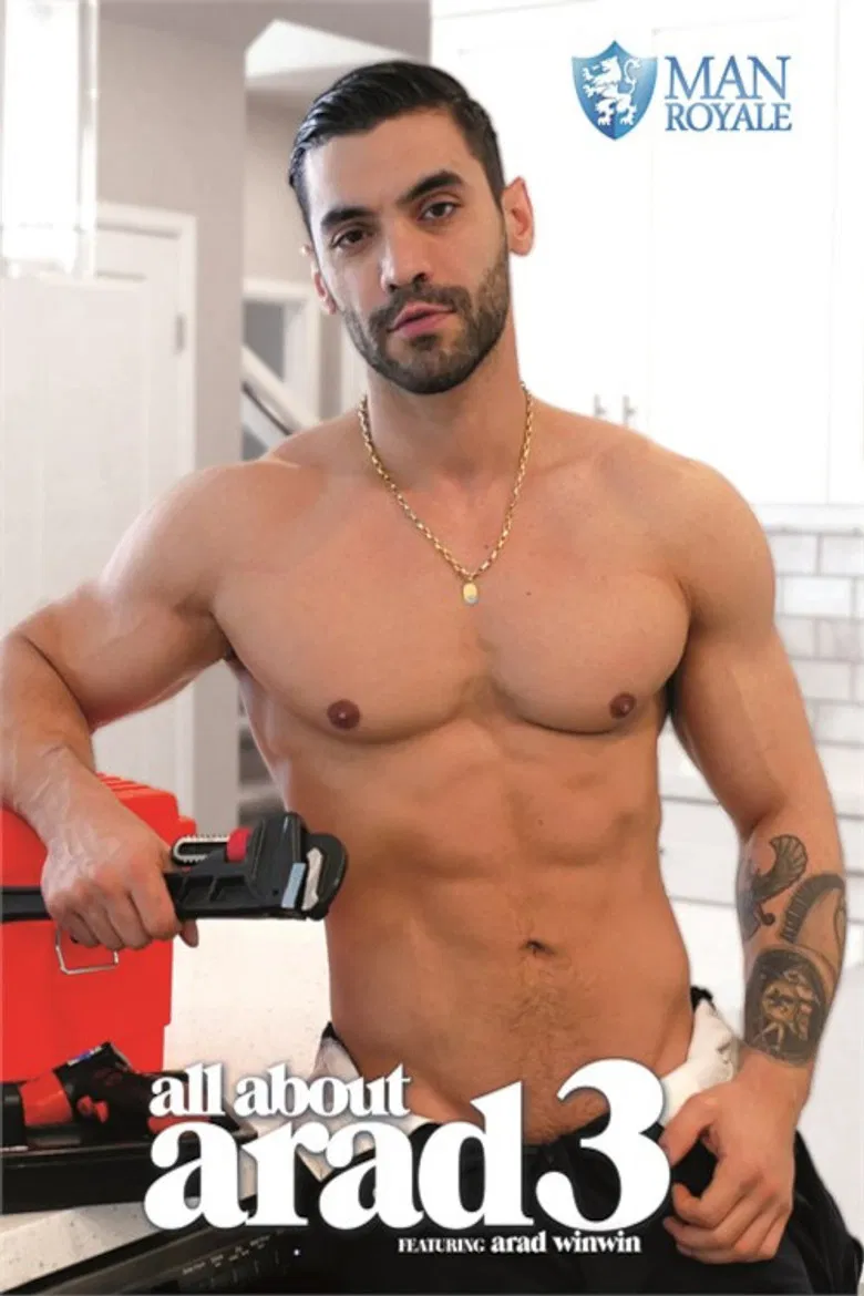 All about Arad 3 poster background