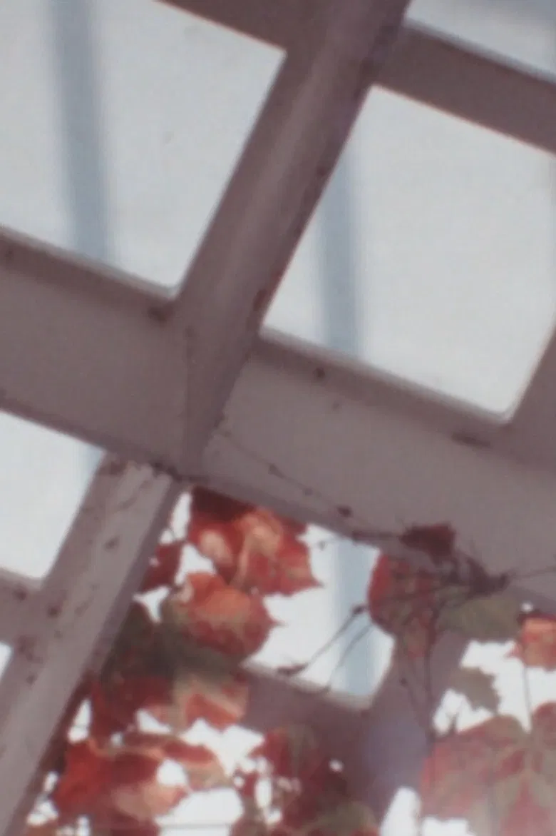 Return to Forms poster background