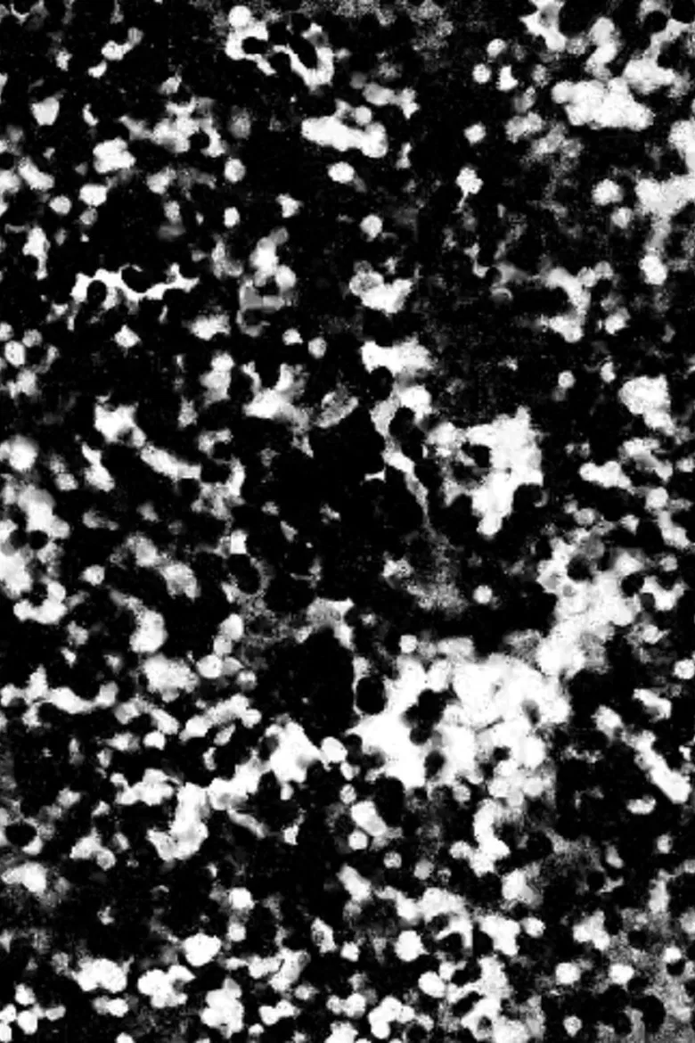 Ramusiana poster background