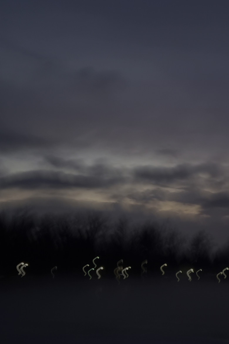 i heard the geese cry poster background