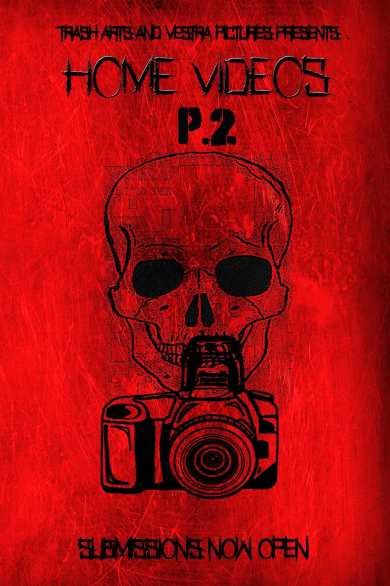 Home Videos 2 poster background