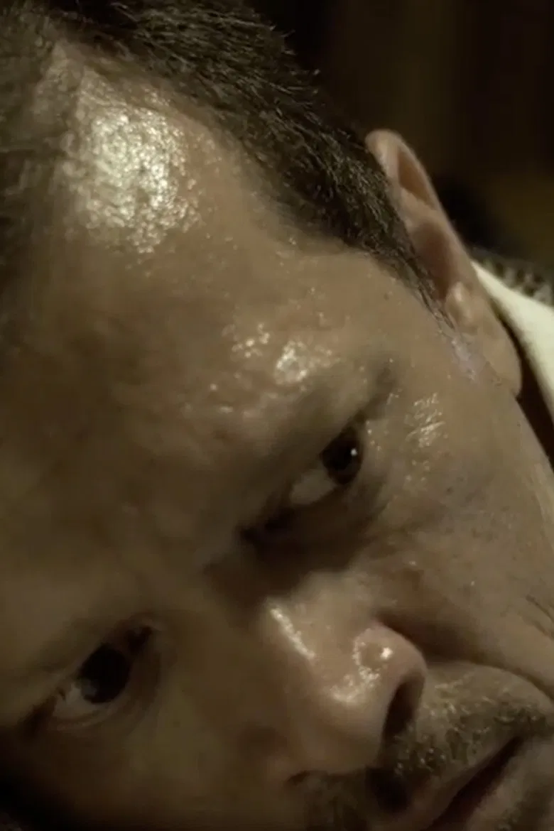 El Fin de una Dictadura poster background