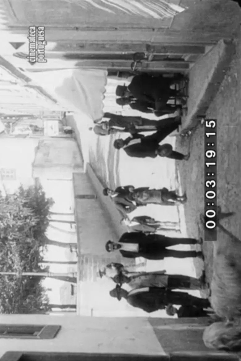 Sernache do Bom Jardim poster background