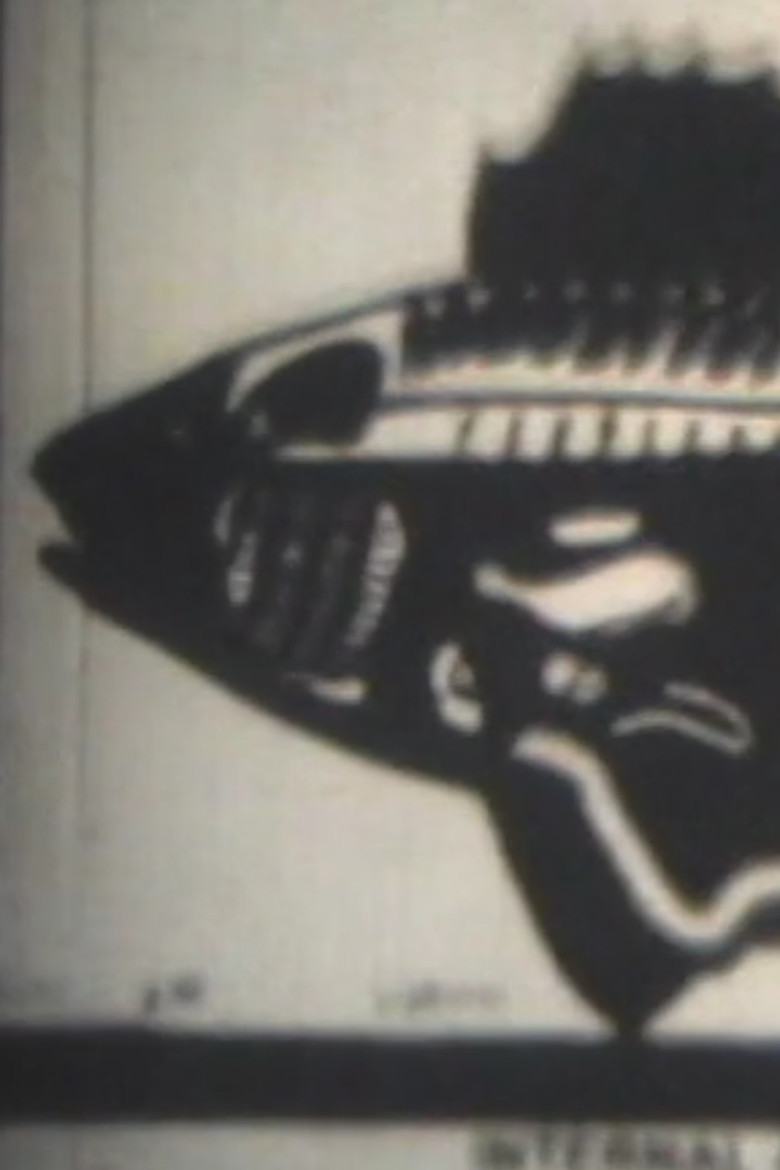 Something Fishy poster background