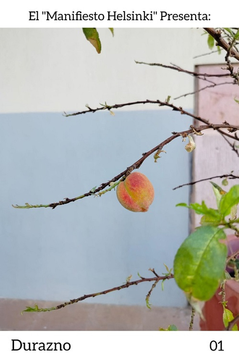 Durazno poster background