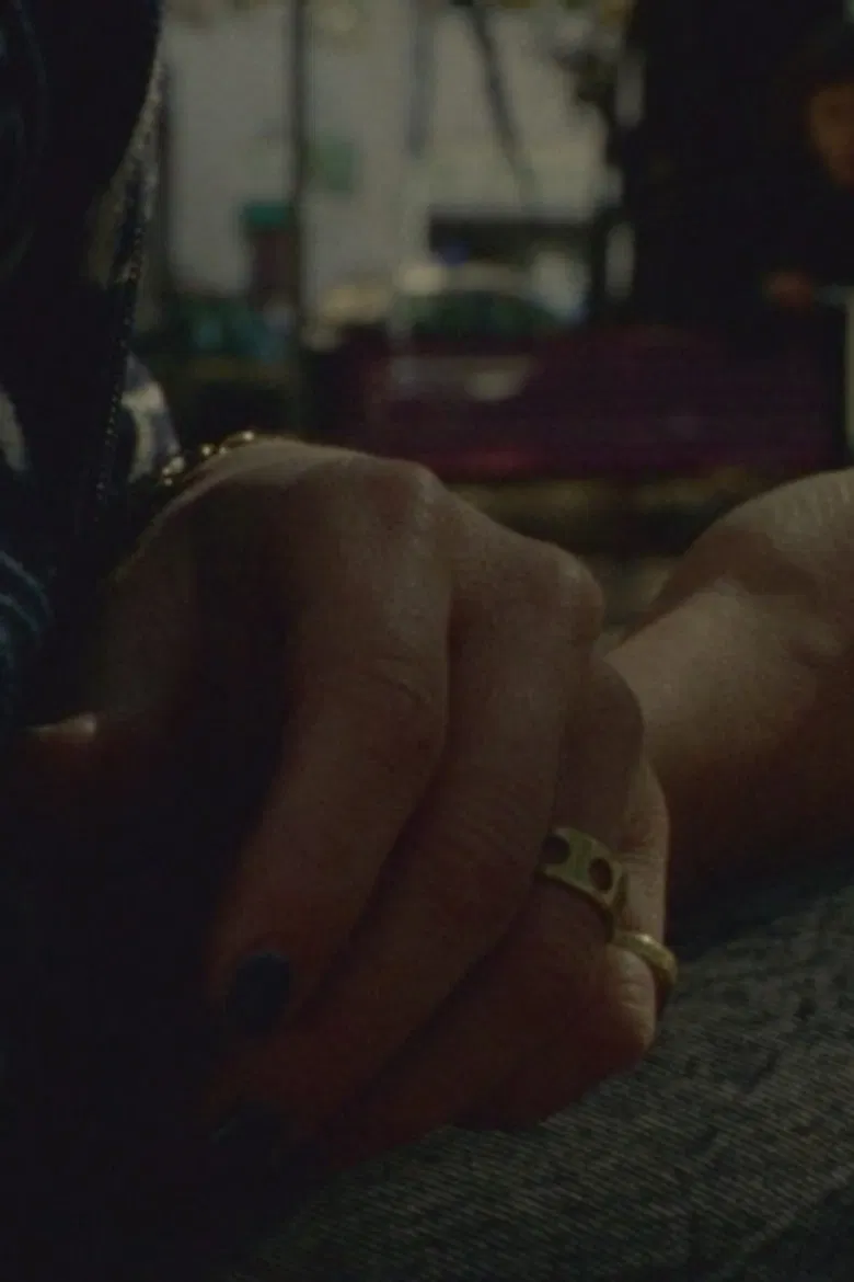 Beatrice Gibson to Barbara Loden, Nina Menkes and Bette Gordon poster background