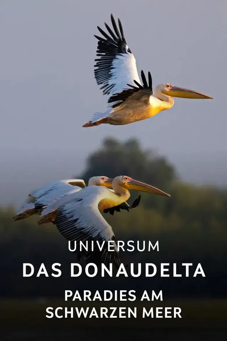 Das Donaudelta - Paradies am Schwarzen Meer poster background