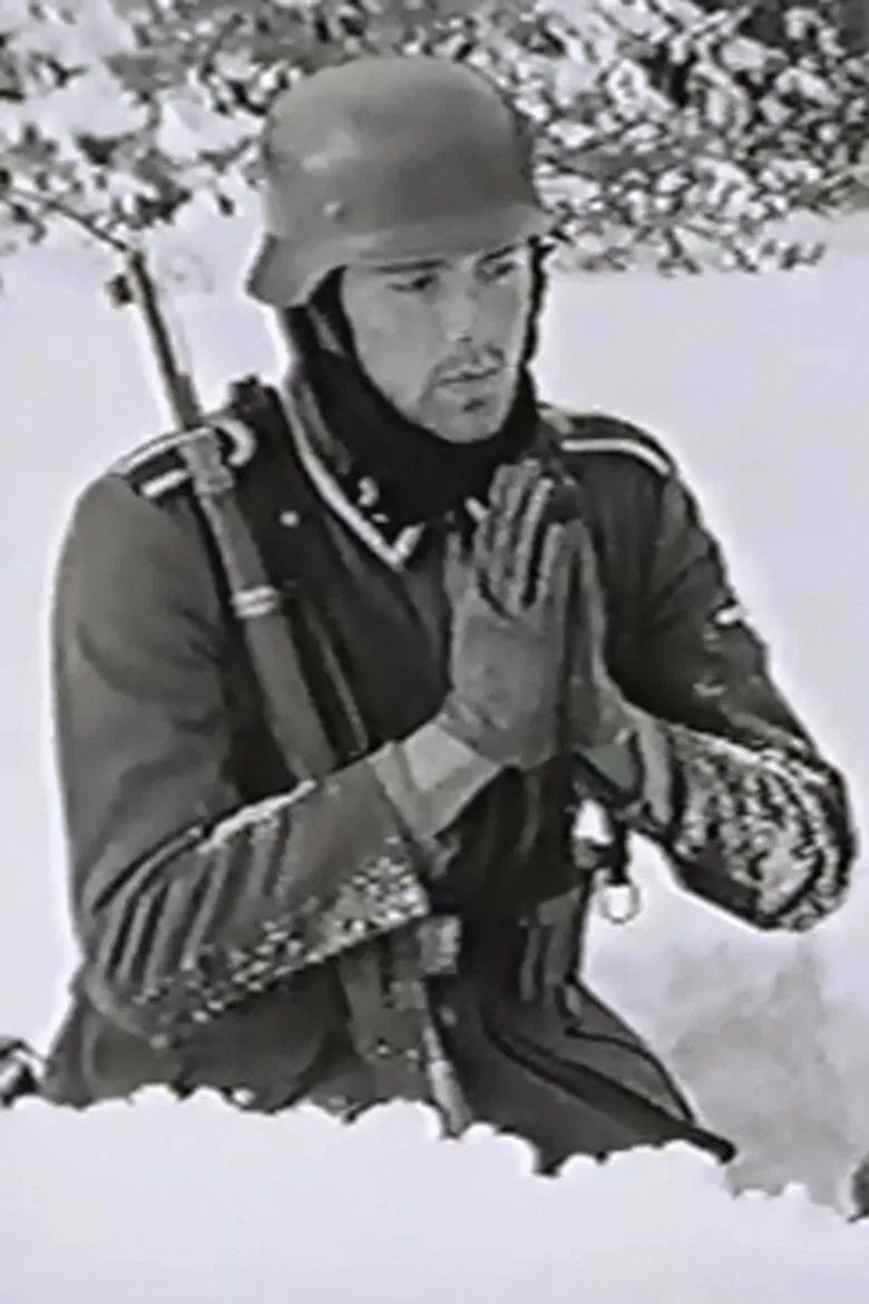 The Snow Field poster background