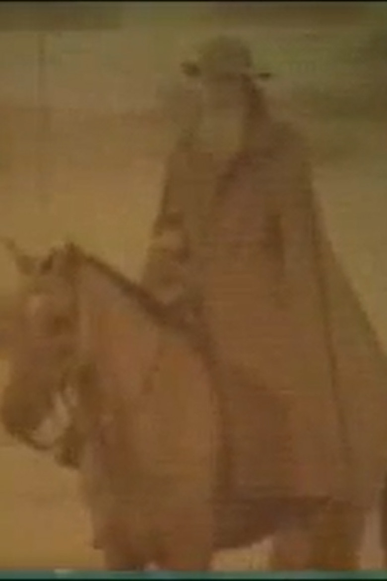 Homenagem a Manuelzão poster background