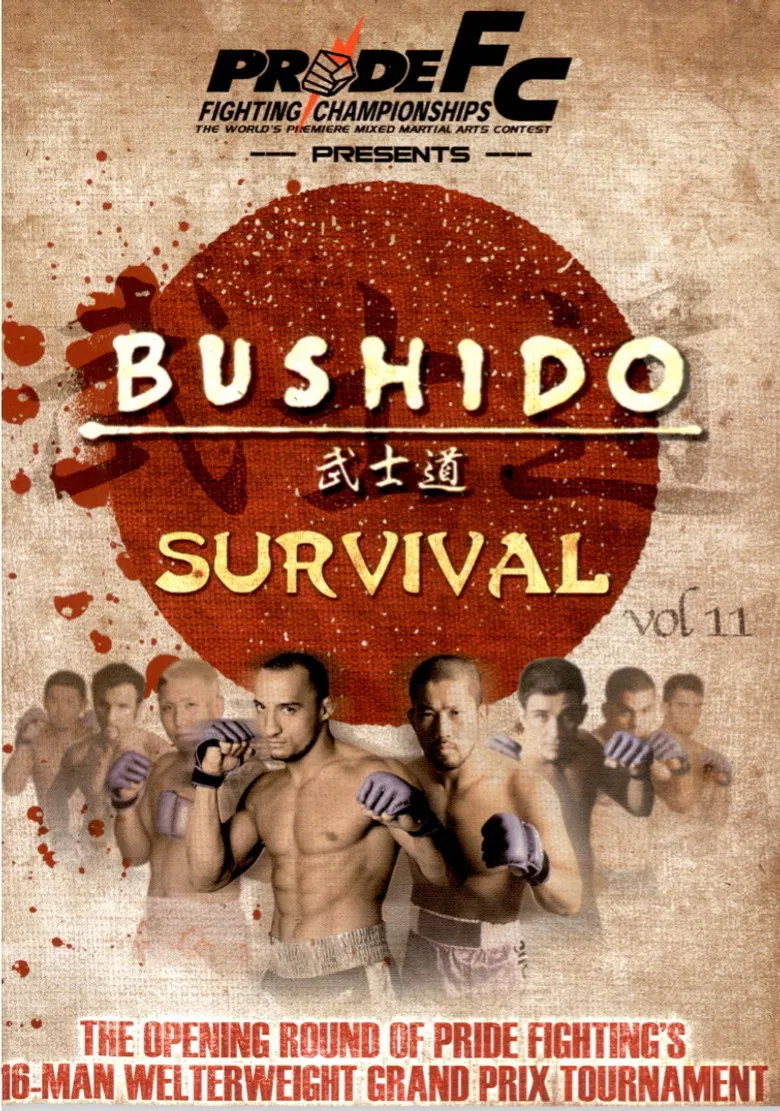 Pride Bushido 11 poster background
