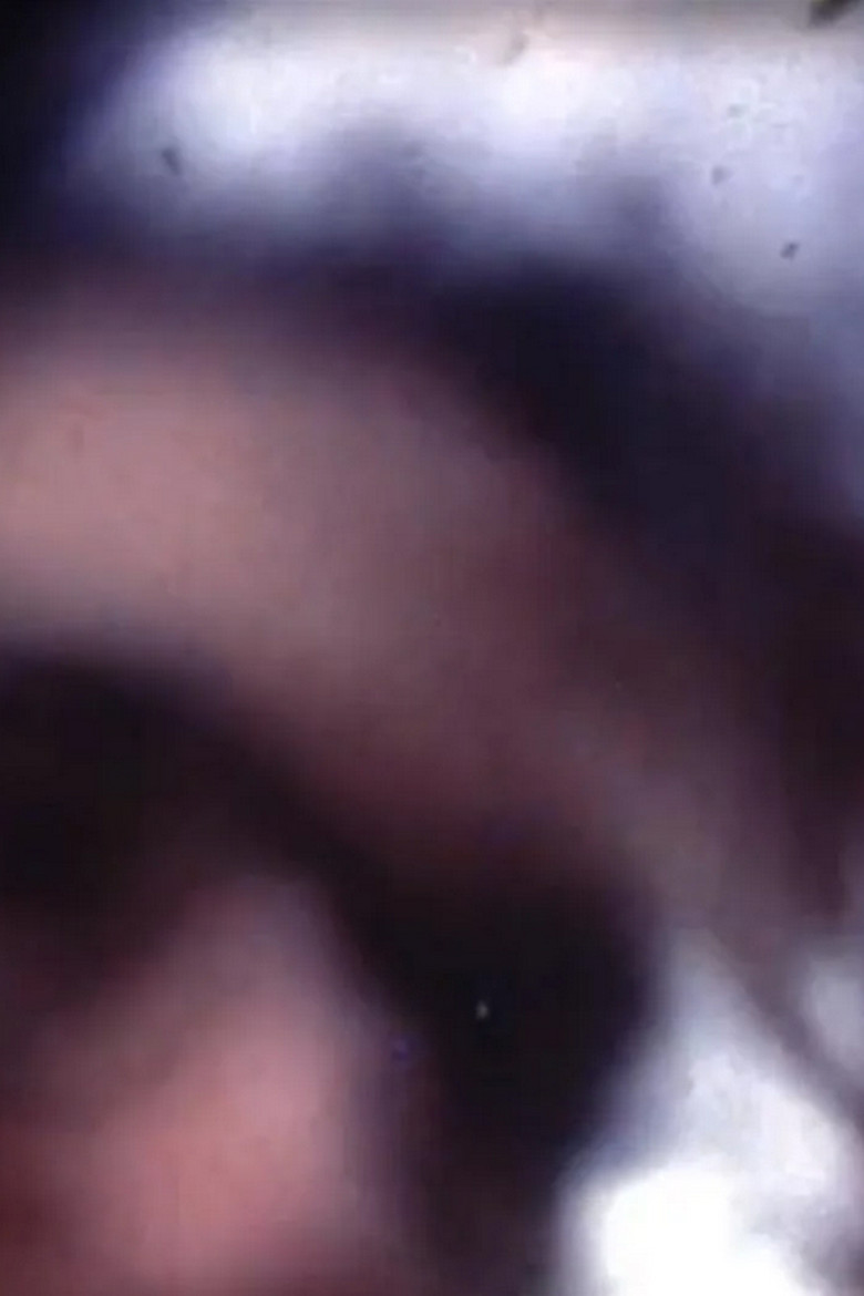 Camera Annihilator poster background