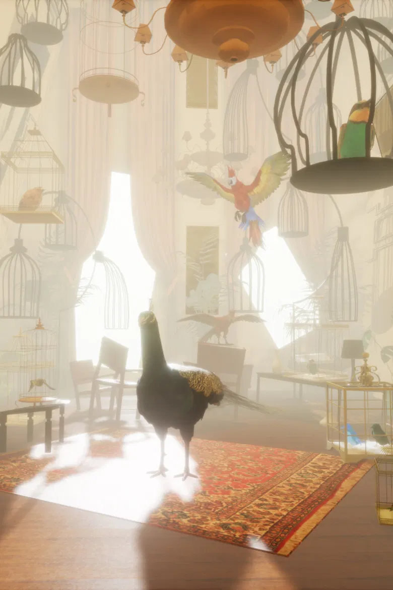 The Bird Lady poster background