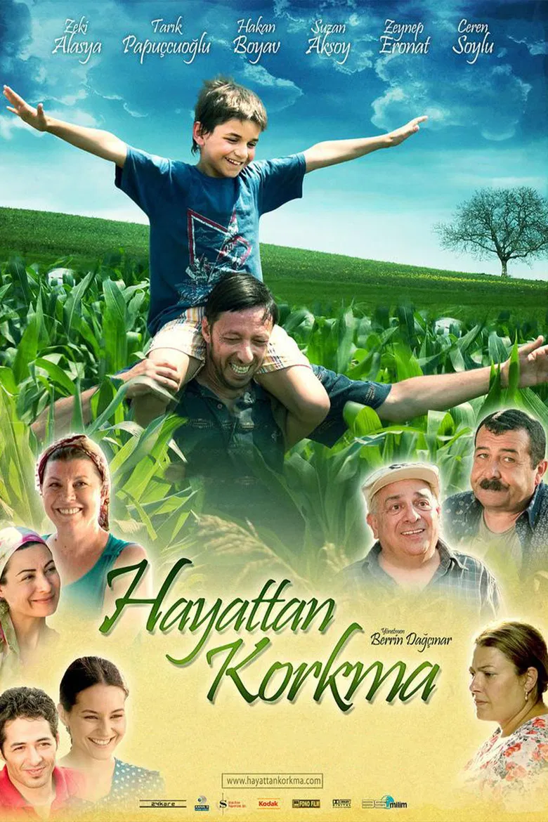 Hayattan Korkma poster background