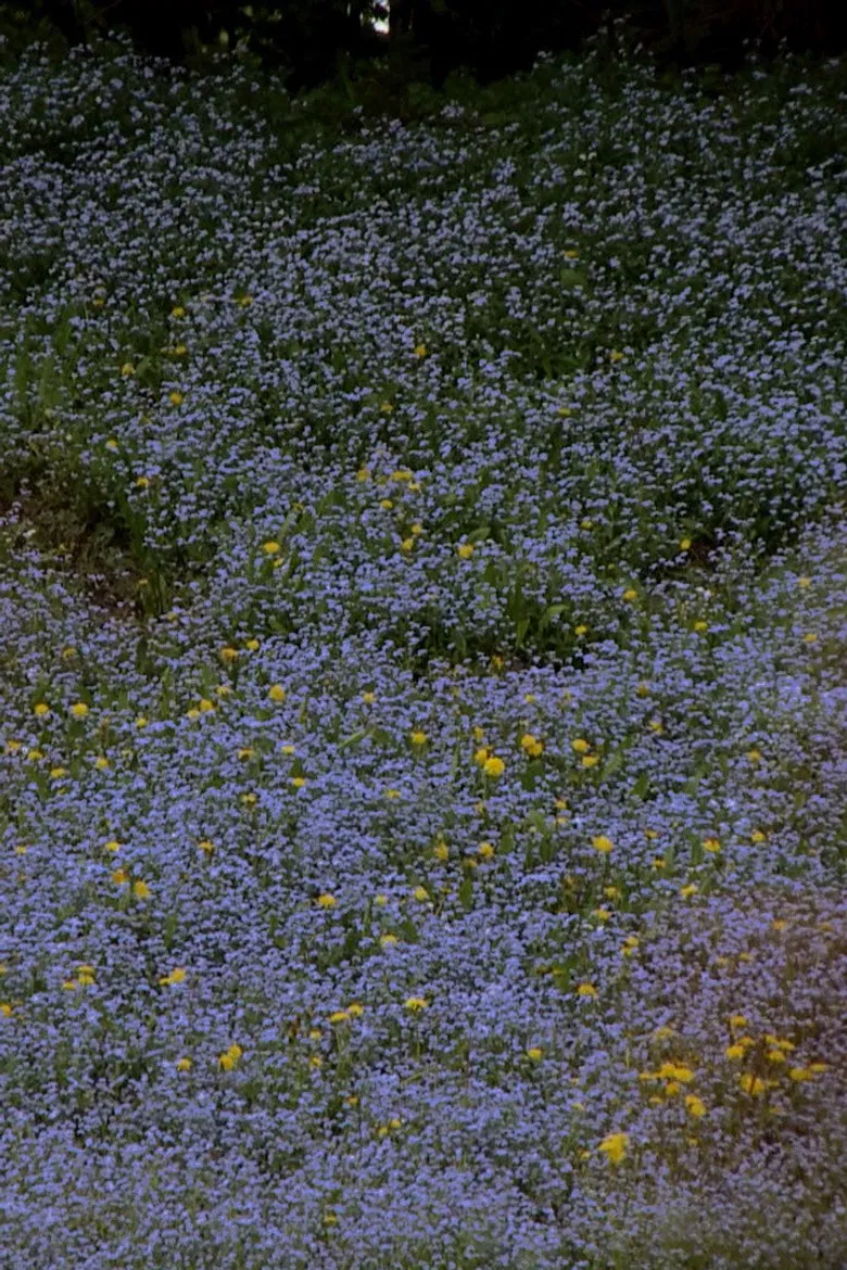 Intersection poster background