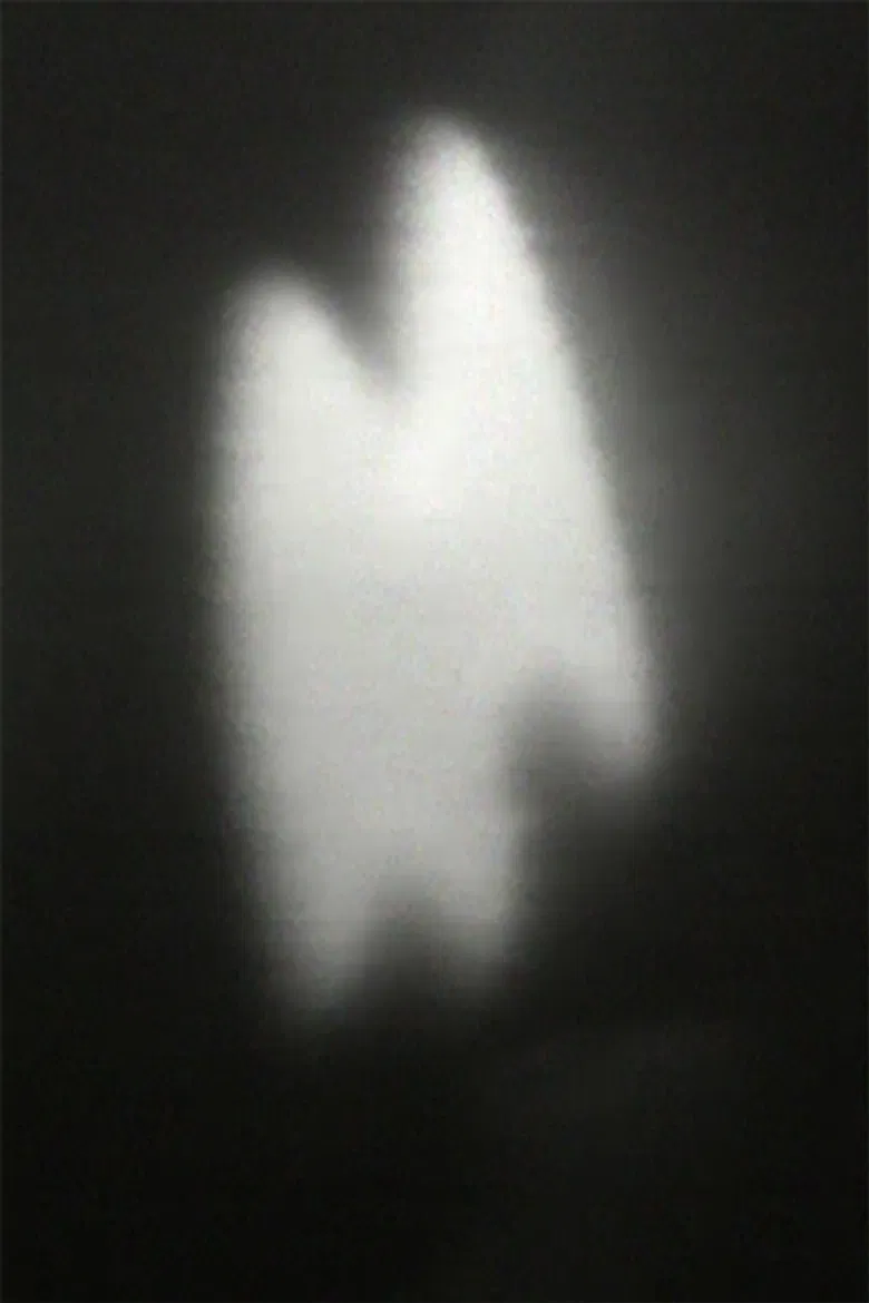 Pig Music poster background