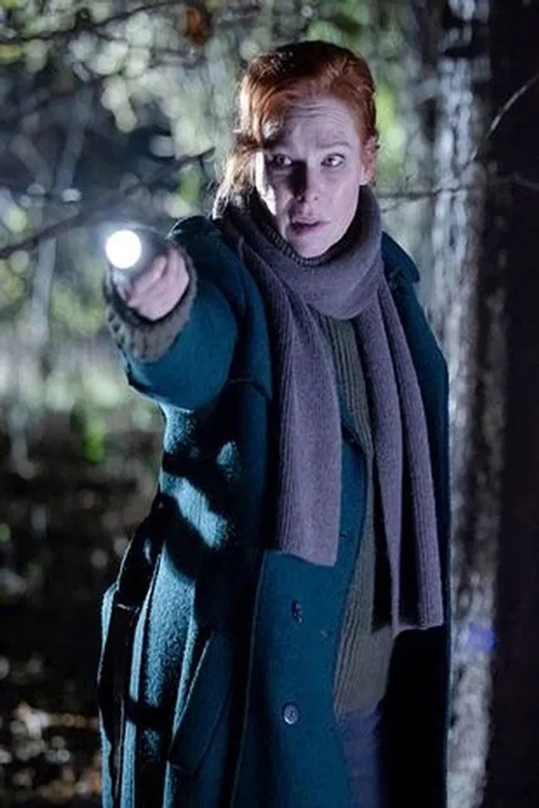 Charlotte Link - Einsame Nacht poster background