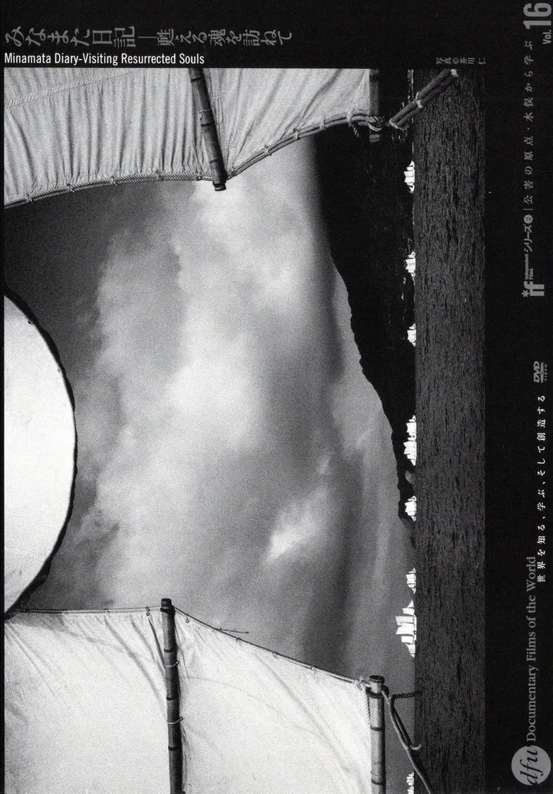 Minamata Diary: Visiting Resurrected Souls poster background