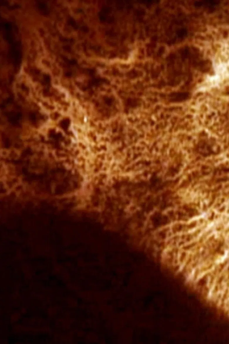 Trash and No Star! poster background