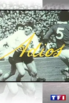 Adios poster background