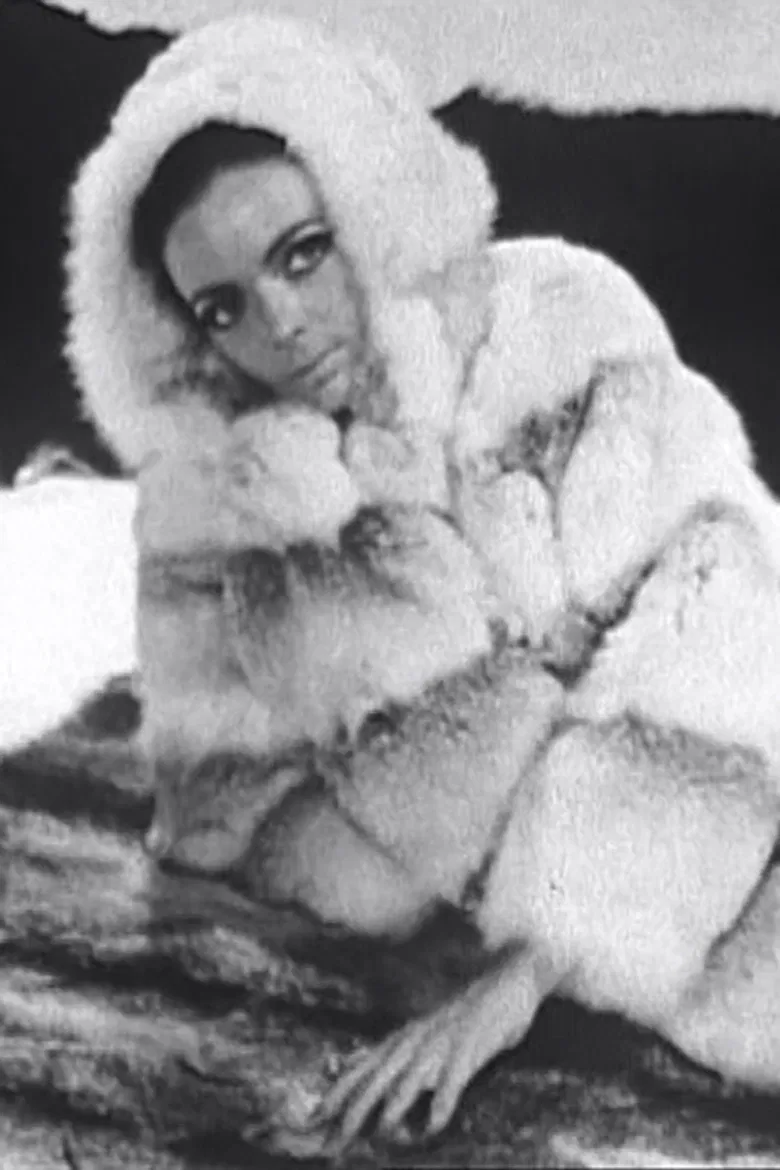 Barbara and Her Furs poster background