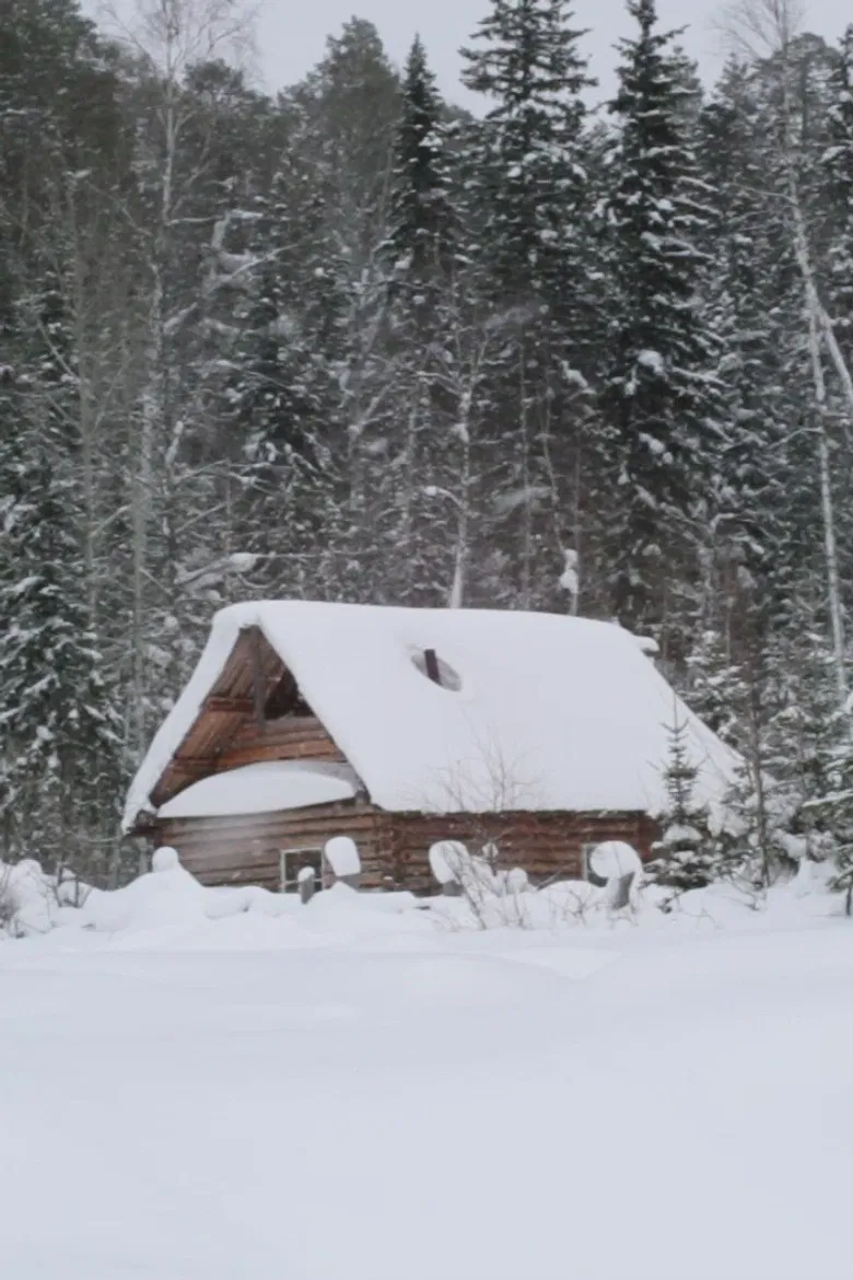 Ivan's Ladder poster background