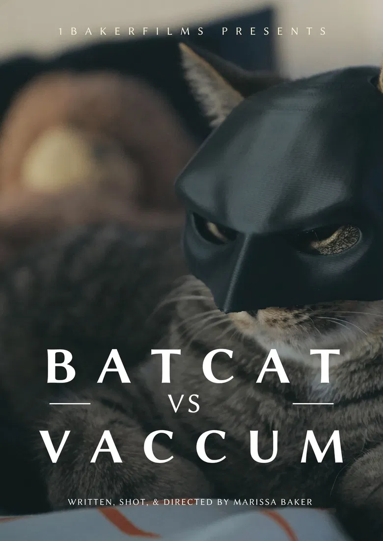 BatCat vs Vacuum poster background