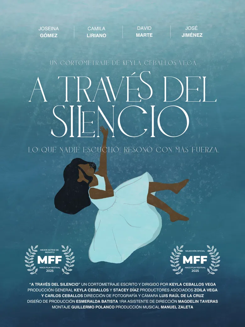 Through the Silence. poster background