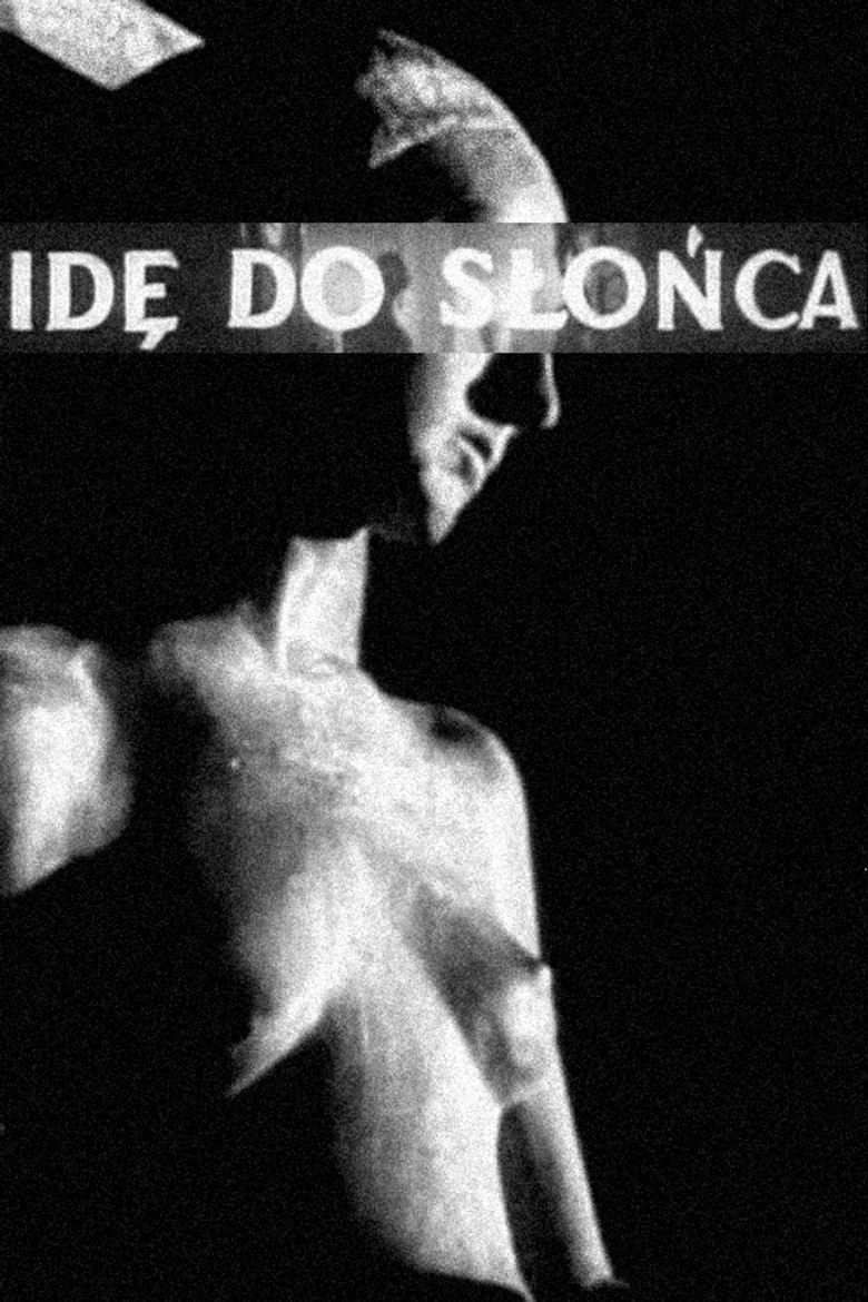 I Walk in the Sun poster background