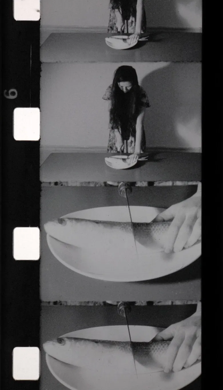 Le Livre brûlé poster background