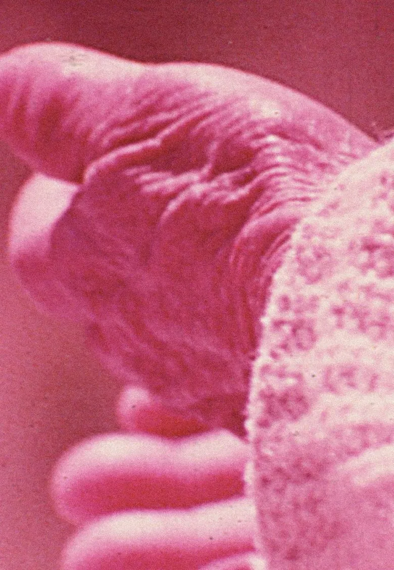 Elasticity poster background