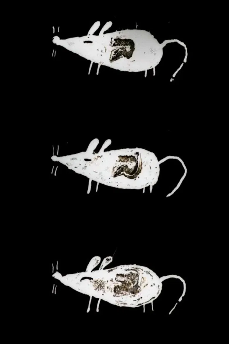 Trauma Chameleon poster background