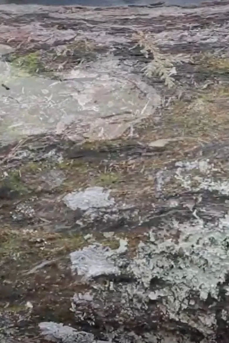 Espace Mouvant poster background