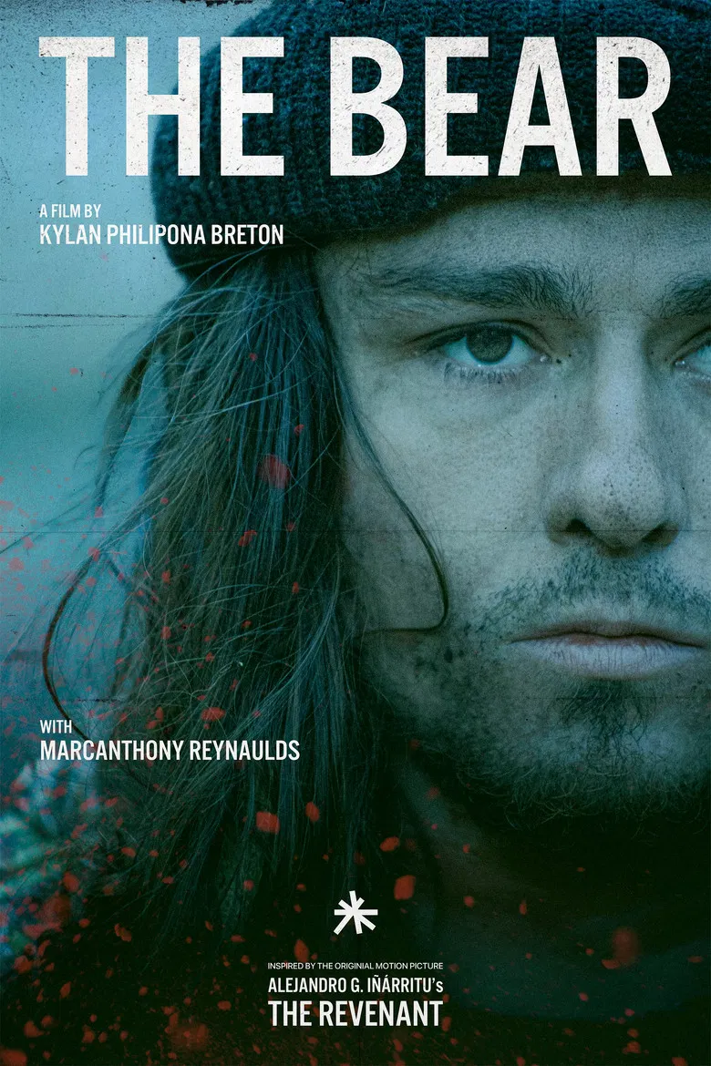 The Bear poster background