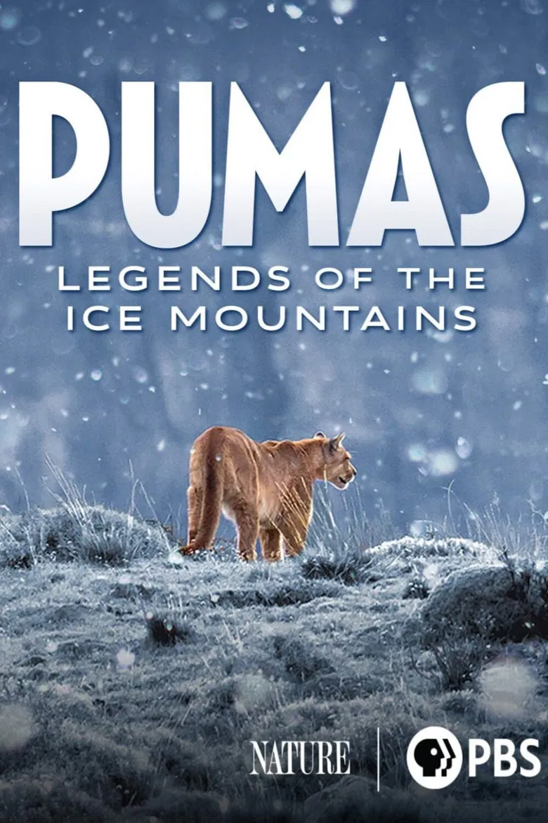 Pumas: Legends of the Ice Mountains poster background