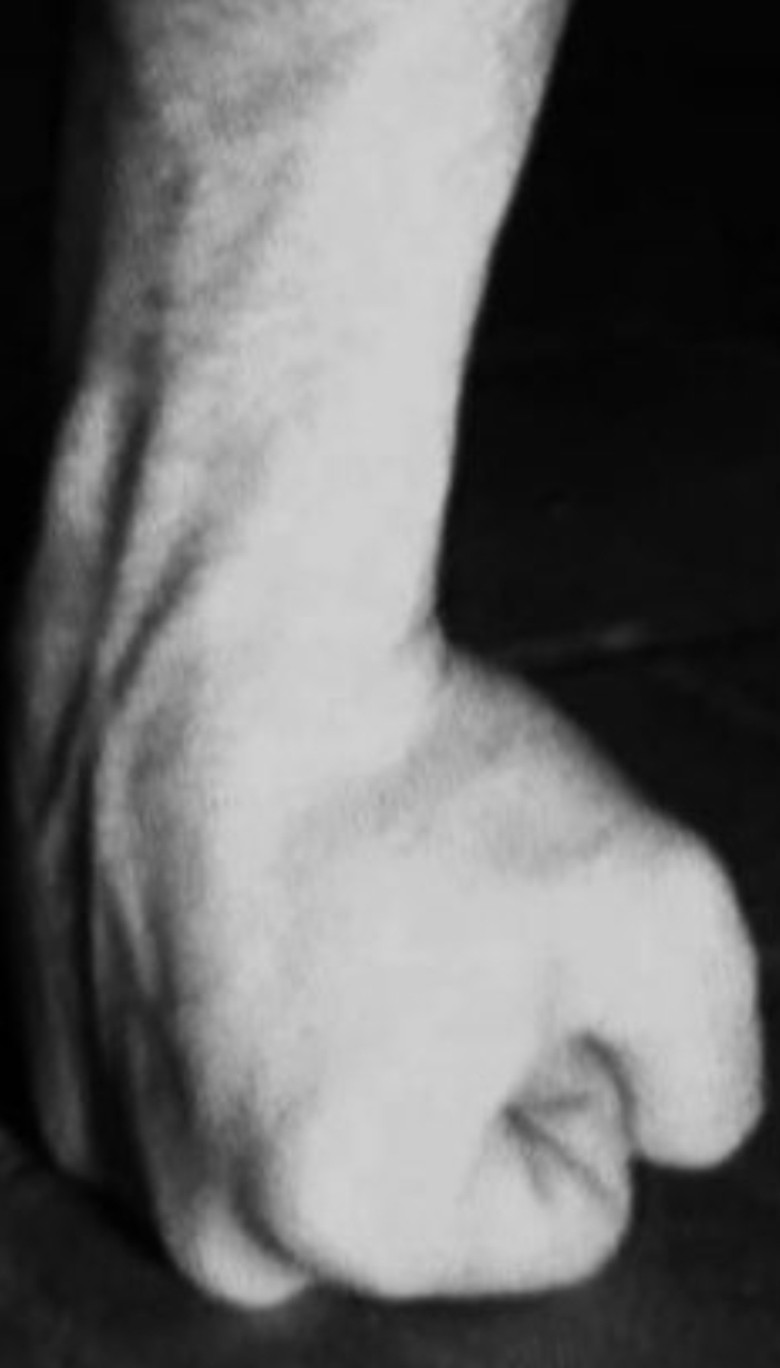 Le Paradis Blanc poster background