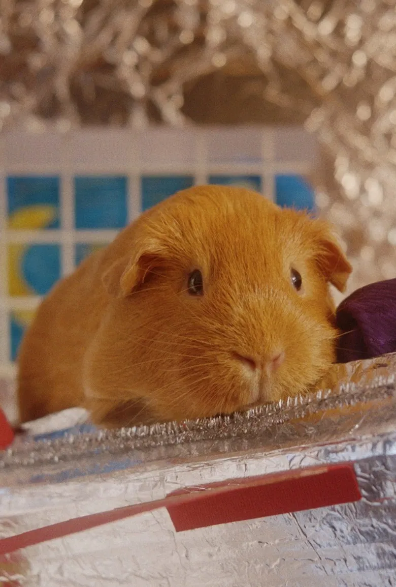 Sherbert Rozencrantz, You're Beautiful poster background