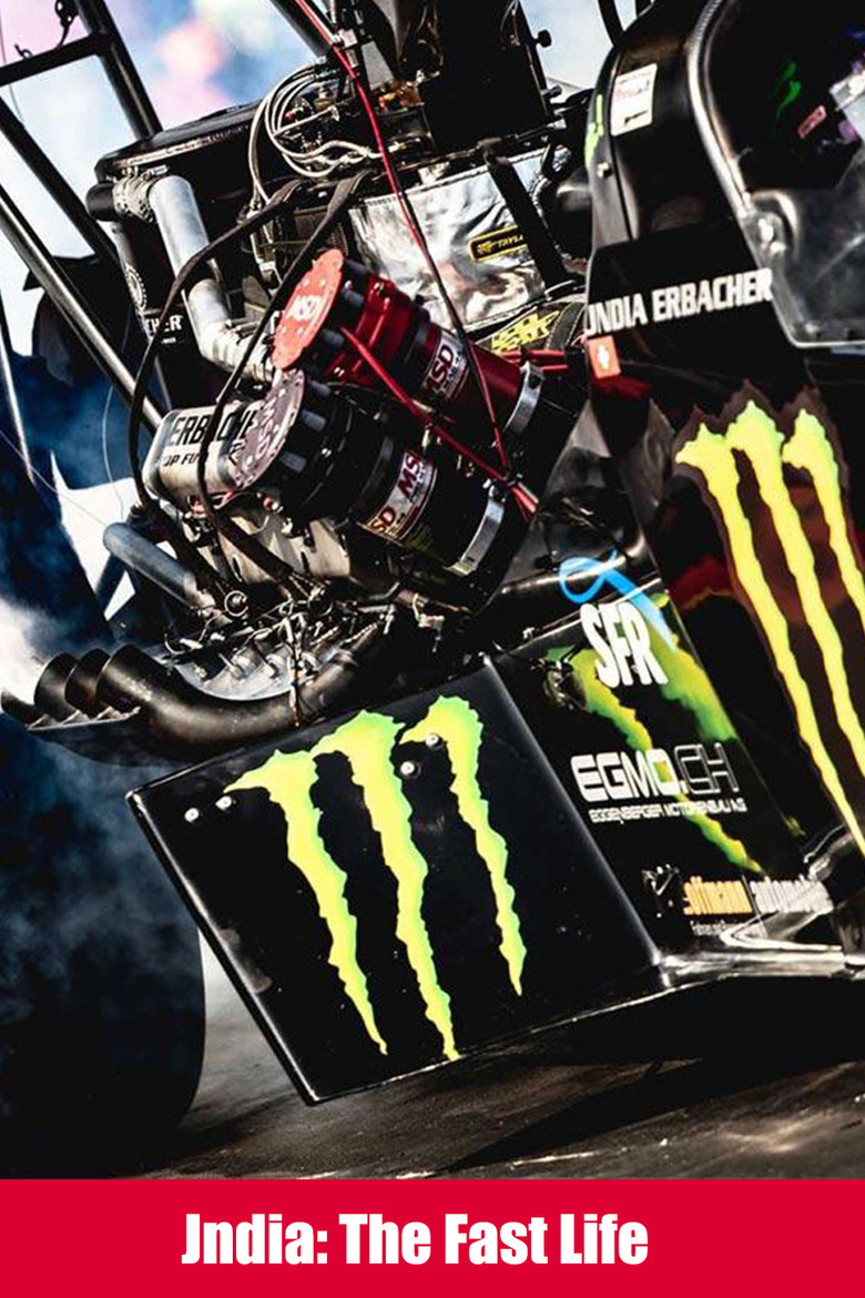 Jndia: The Fast Life poster background