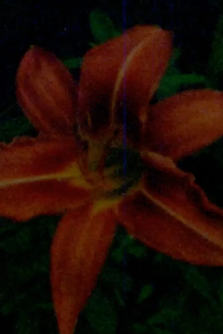 the lab poster background