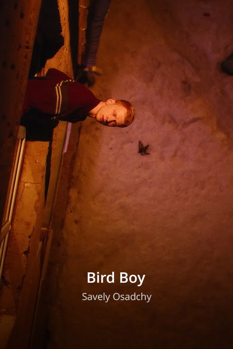 Bird Boy poster background