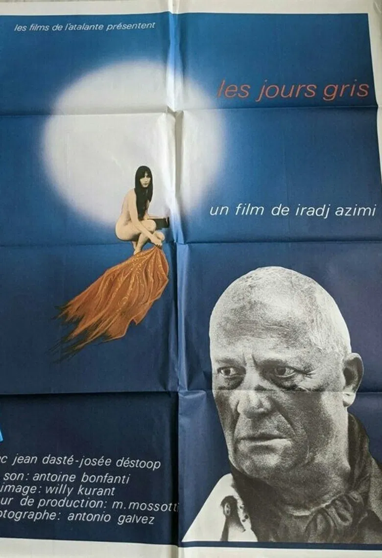 Les jours gris poster background