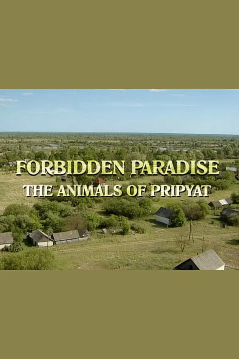 Chernobyl poster background