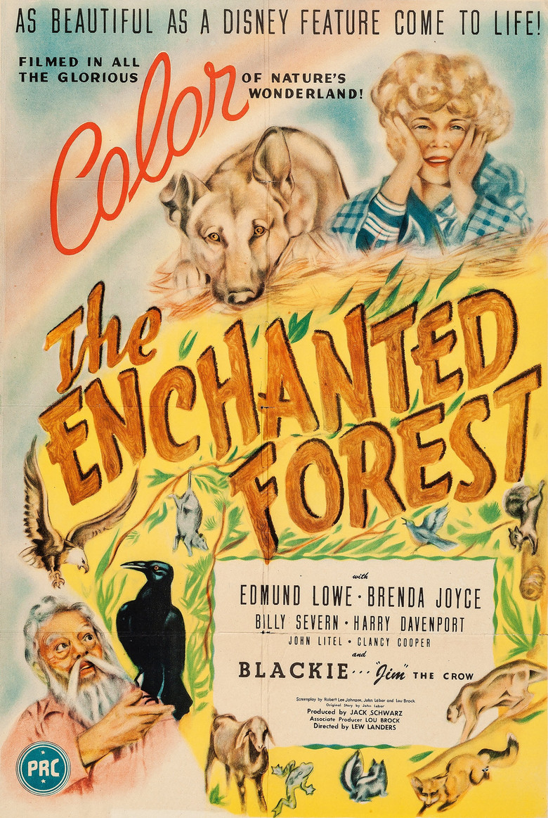 The Enchanted Forest poster background
