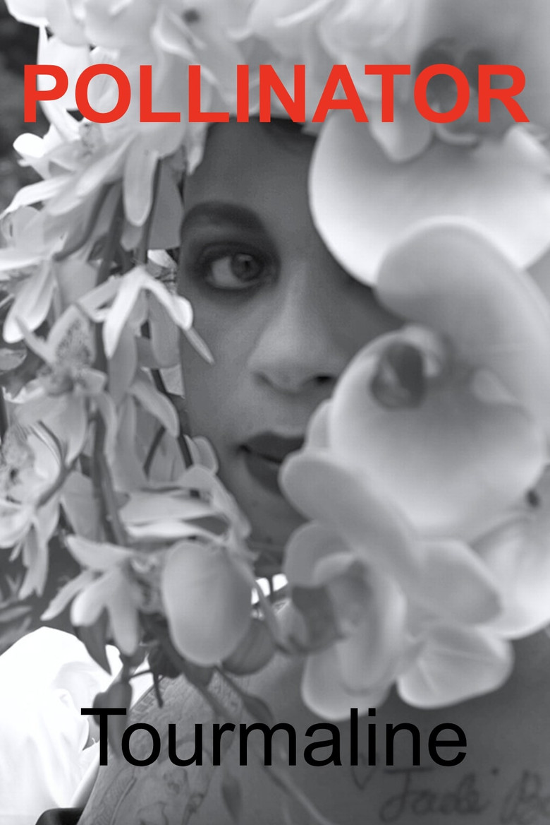 Pollinator poster background